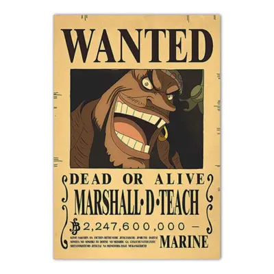 Blackbeard Bounty Wanted Poster