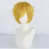 wig